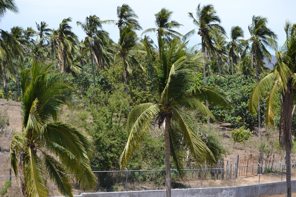 Villas Coco Mango Barra de Navidad Eksteriør billede